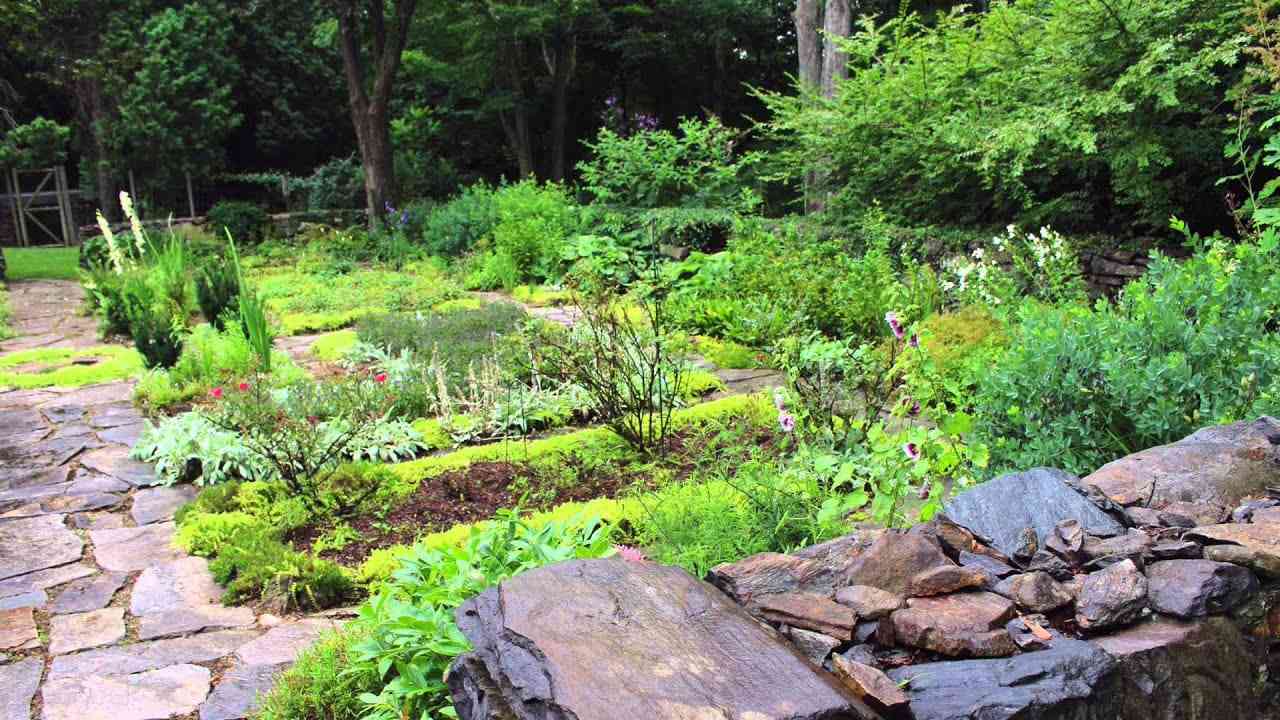 Garden beds in bloom.