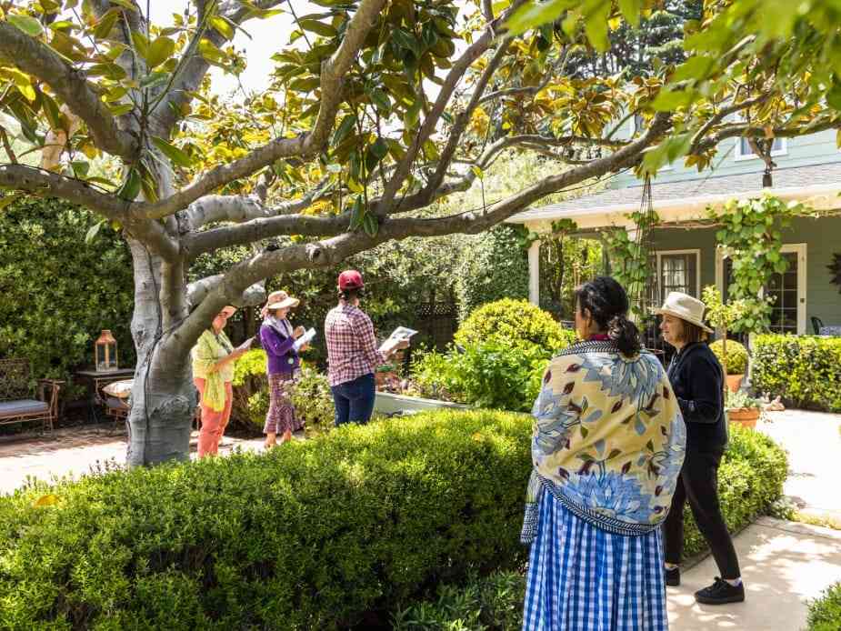 An Open Days garden event.