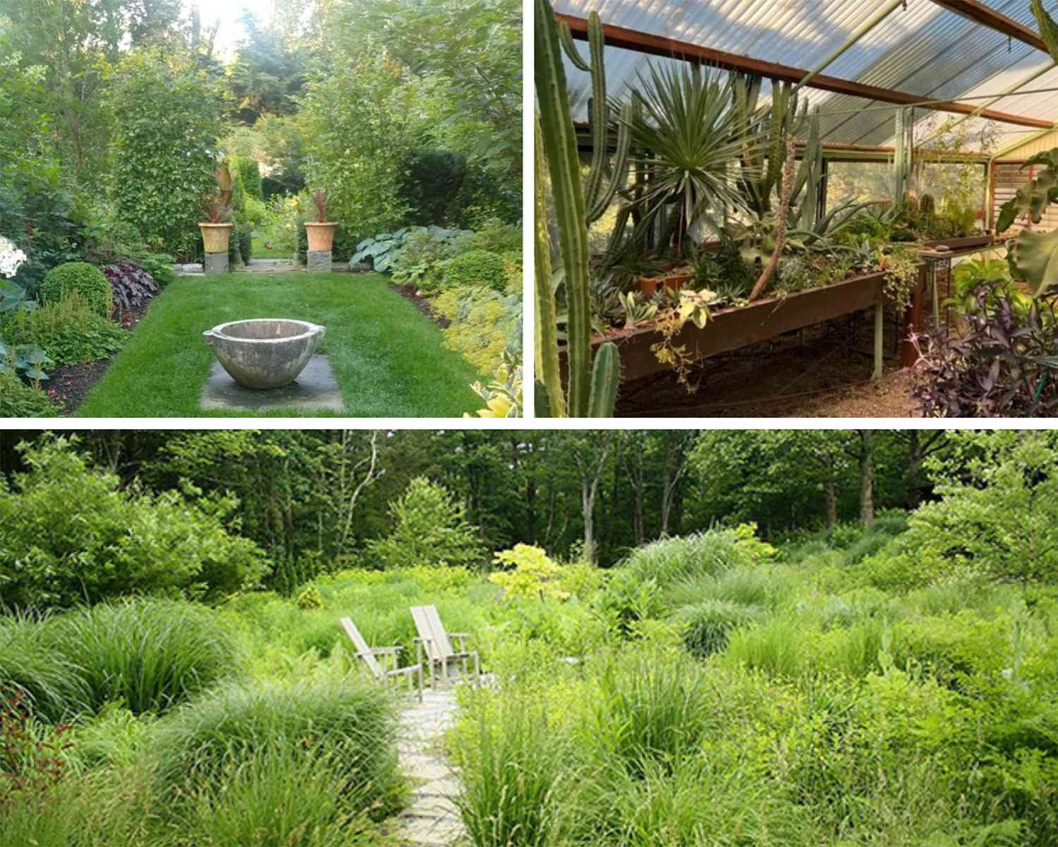 Example of good garden images.