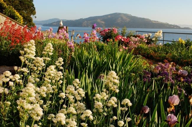 Gardens of Alcatraz in San Francisco, California.