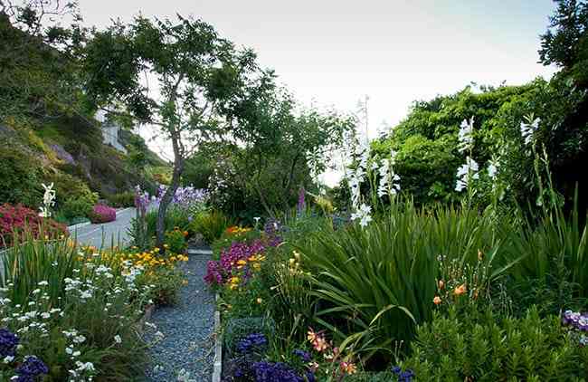 Gardens of Alcatraz in San Francisco, California.