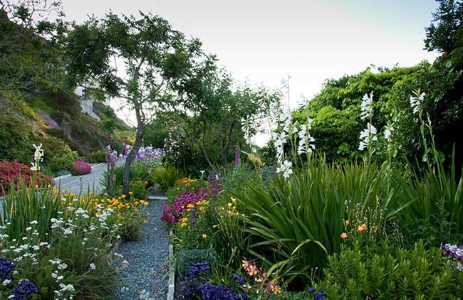 Gardens of Alcatraz in San Francisco, California.