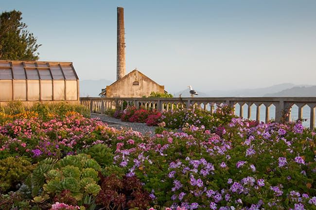 Gardens of Alcatraz in San Francisco, California.