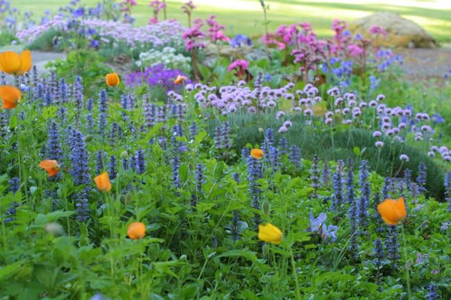 Chase Garden in Orting, Washington.