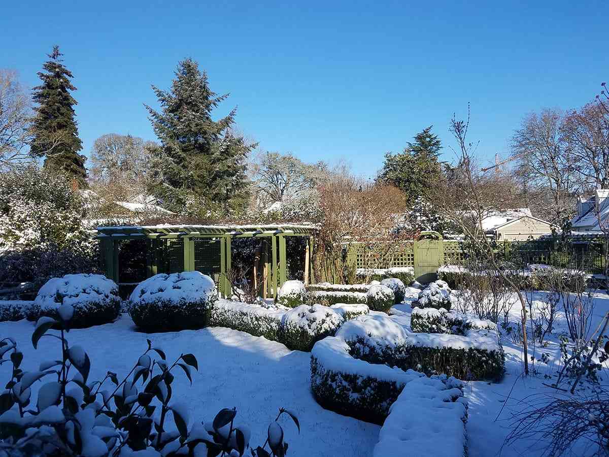 Winter snow at Gaiety Hollow in Salem, Oregon.