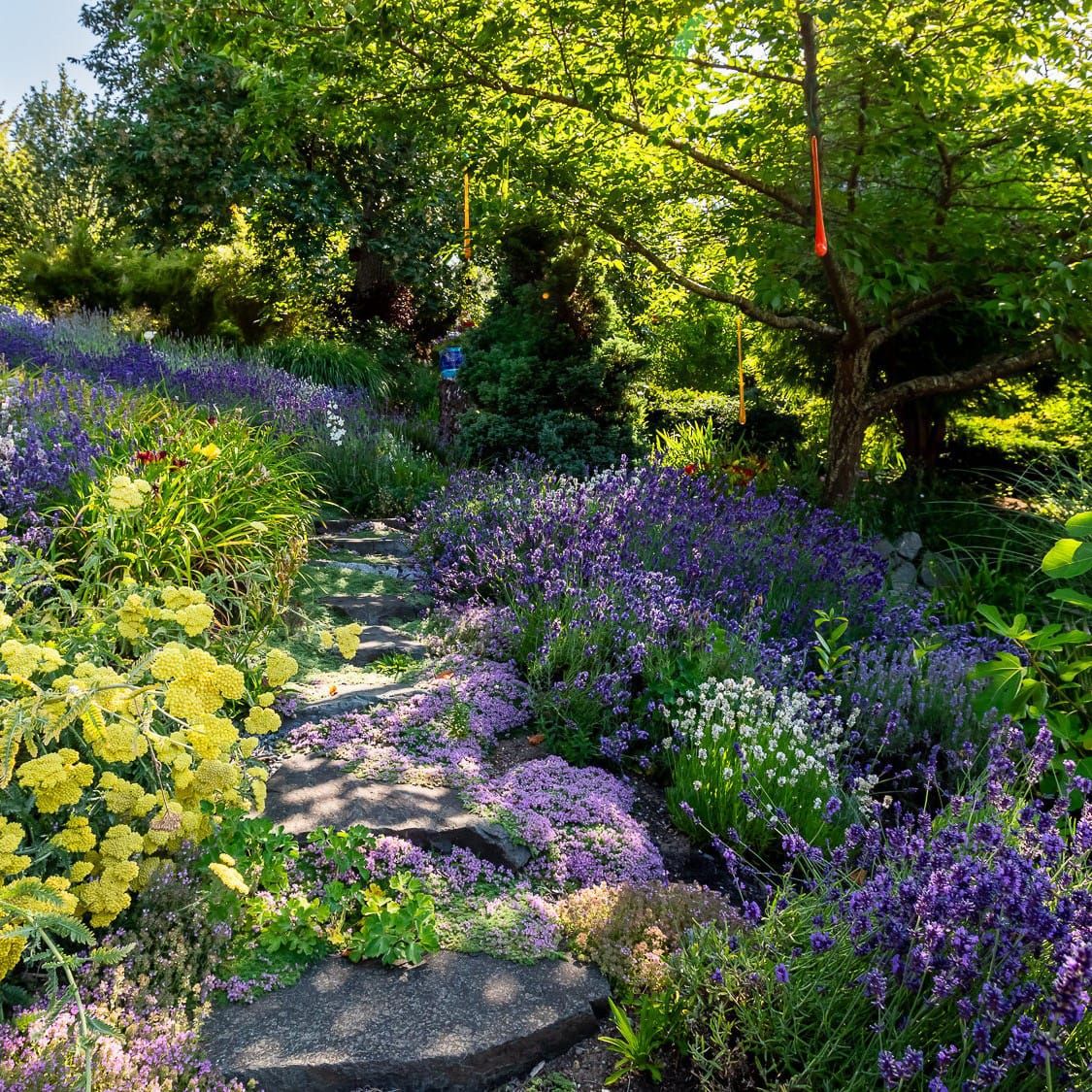 Albers Vista Gardens, Bremerton, Washington