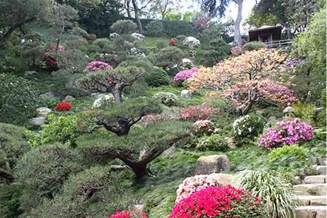 Hannah Carter Japanese Garden in Los Angeles, California.