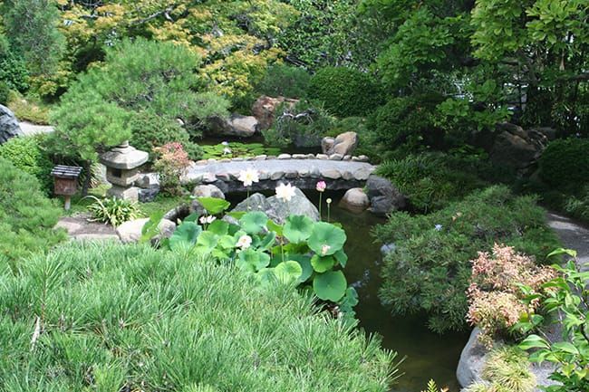 Hannah Carter Japanese Garden in Los Angeles, California.