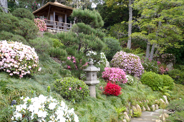 Hannah Carter Japanese Garden in Los Angeles, California.