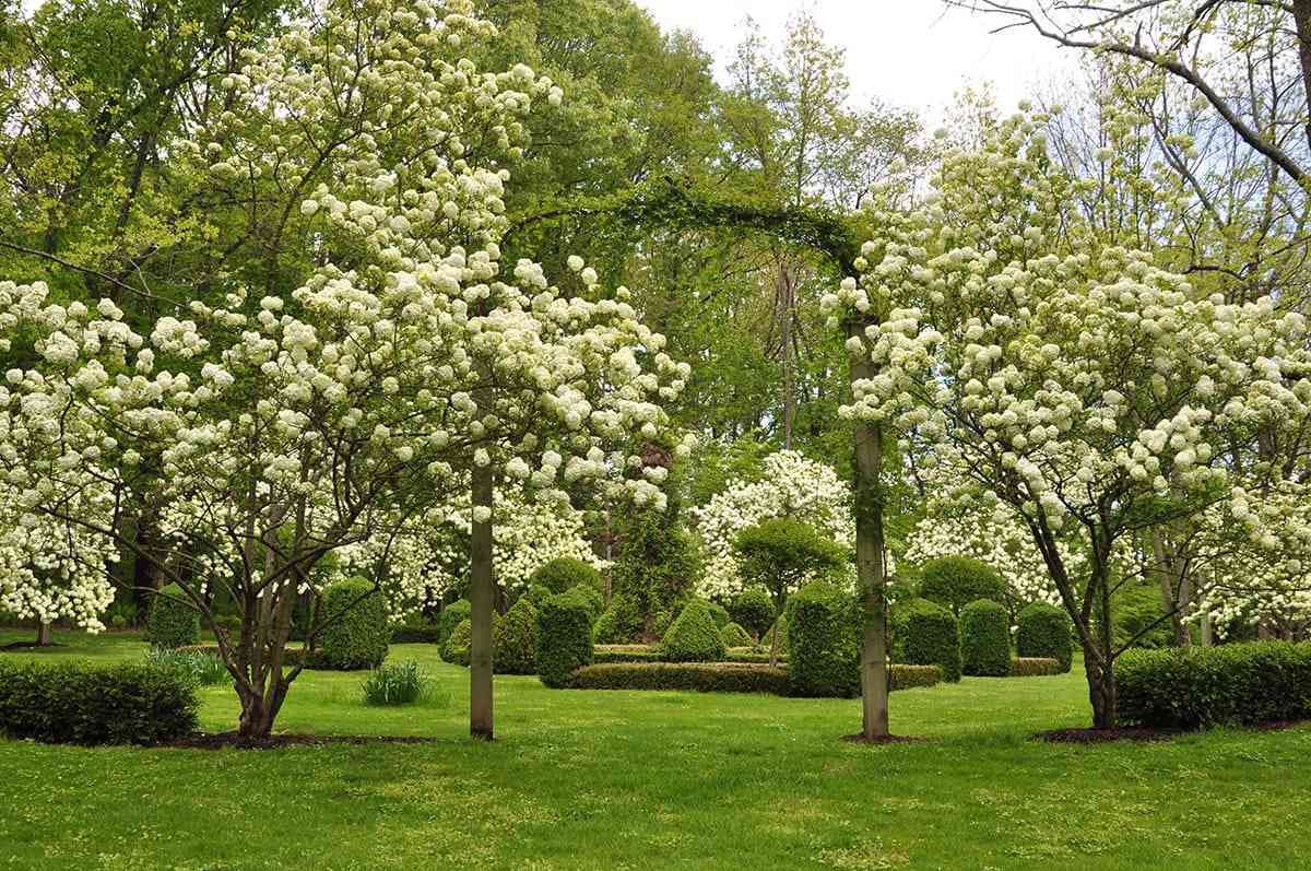 Hortulus Farm Garden and Nursery in Wrightstown, Pennsylvania.