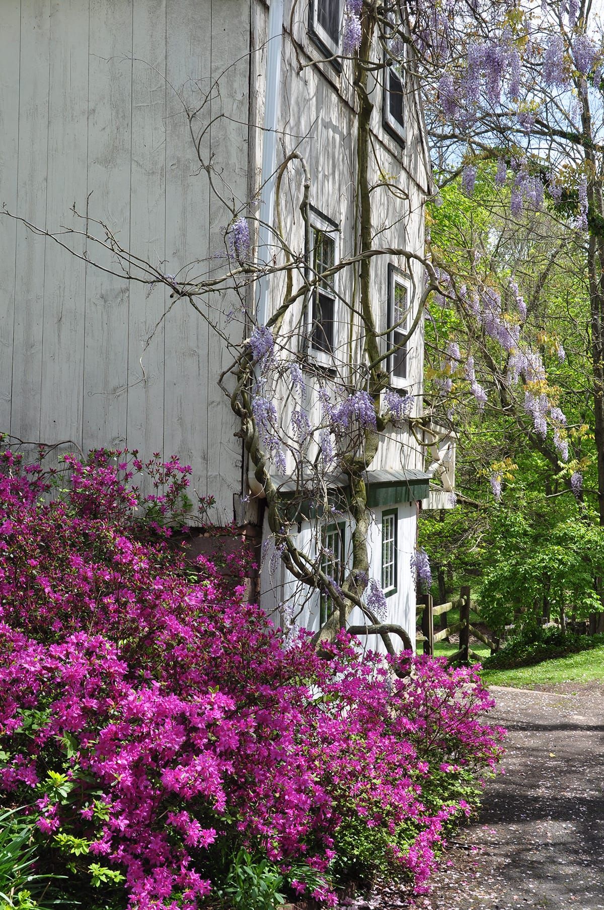 Hortulus Farm Garden and Nursery in Wrightstown, Pennsylvania.