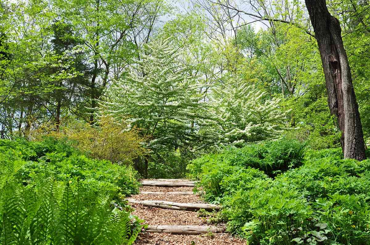 Hortulus Farm Garden and Nursery in Wrightstown, Pennsylvania.