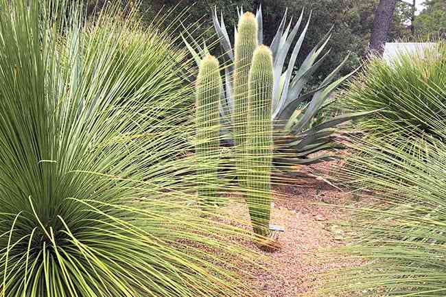 The John Fairey Garden in Hempstead, Texas.