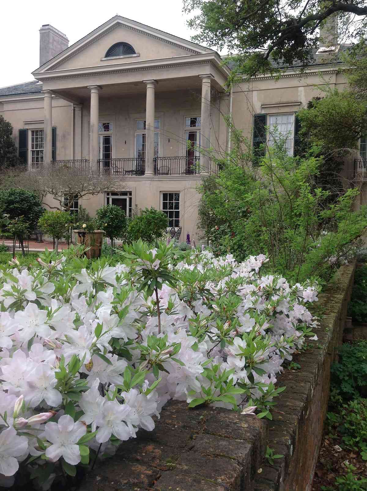 Portico azaleas in bloom at Longue Vue House & Gardens in New Orleans, Louisiana.