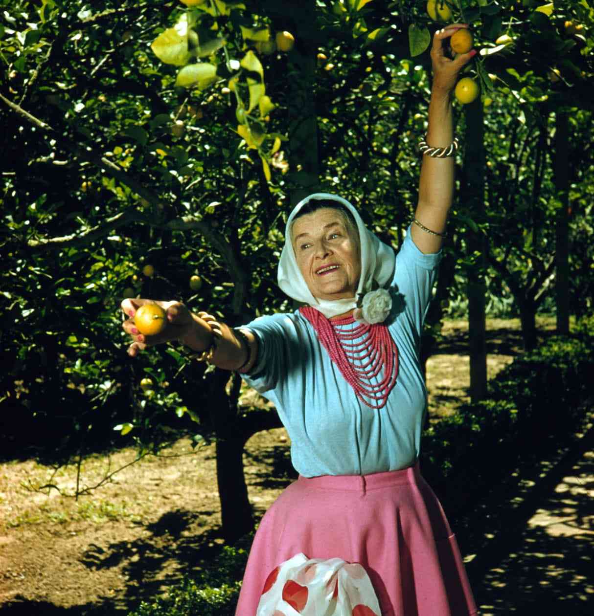 Madame Ganna Walska picking lemons at Lotusland in Santa Barbera, California.