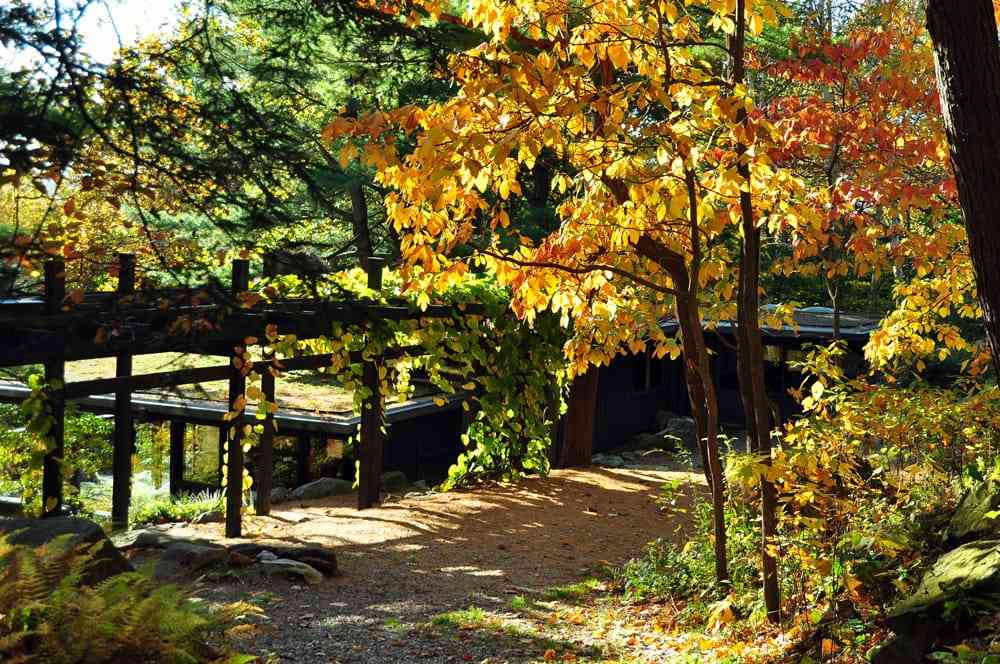 Pergola and house in autumn at Manitoga in Garrison, New York.