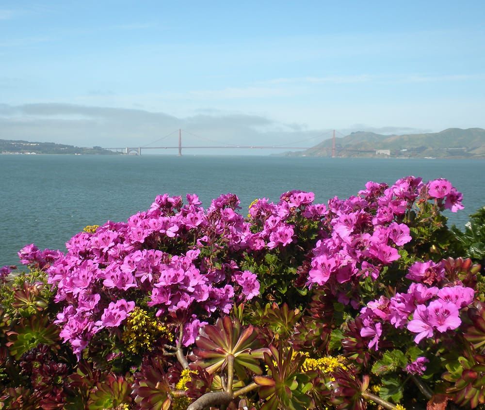 Gardens of Alcatraz in San Francisco, CA