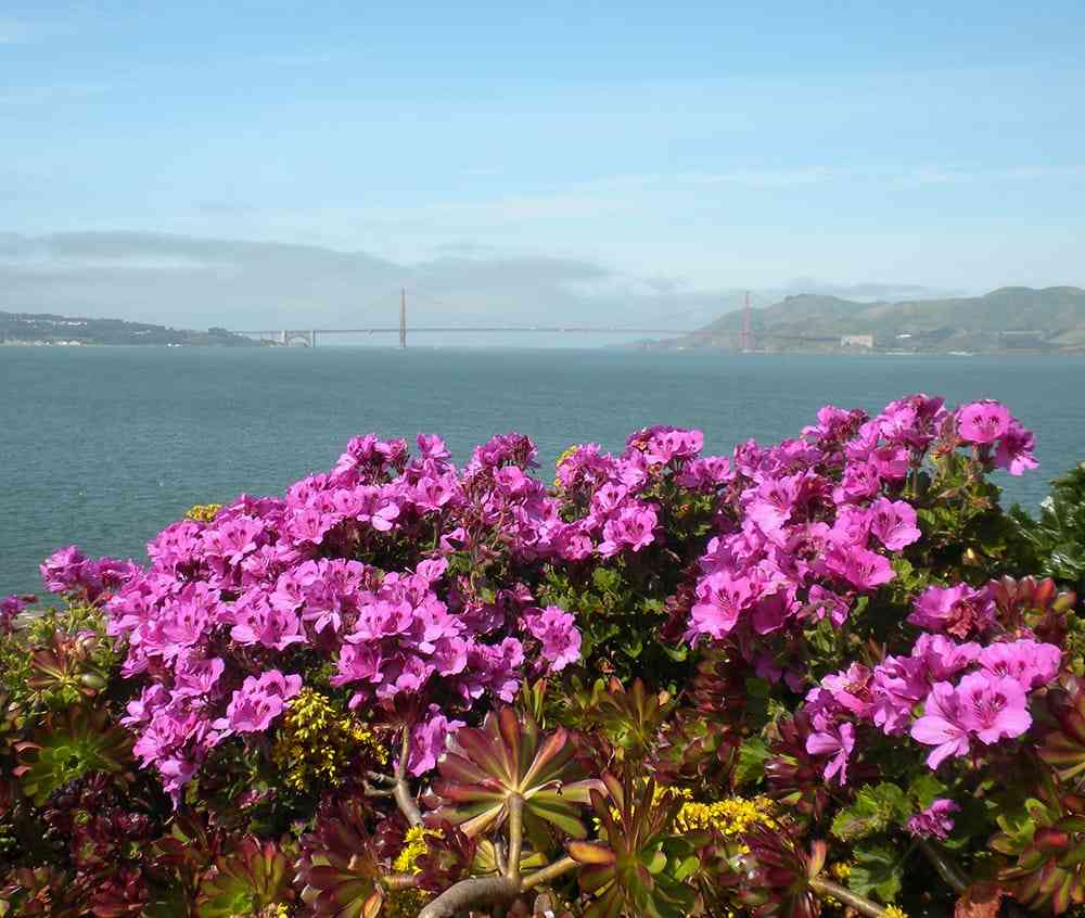 Gardens of Alcatraz in San Francisco, CA