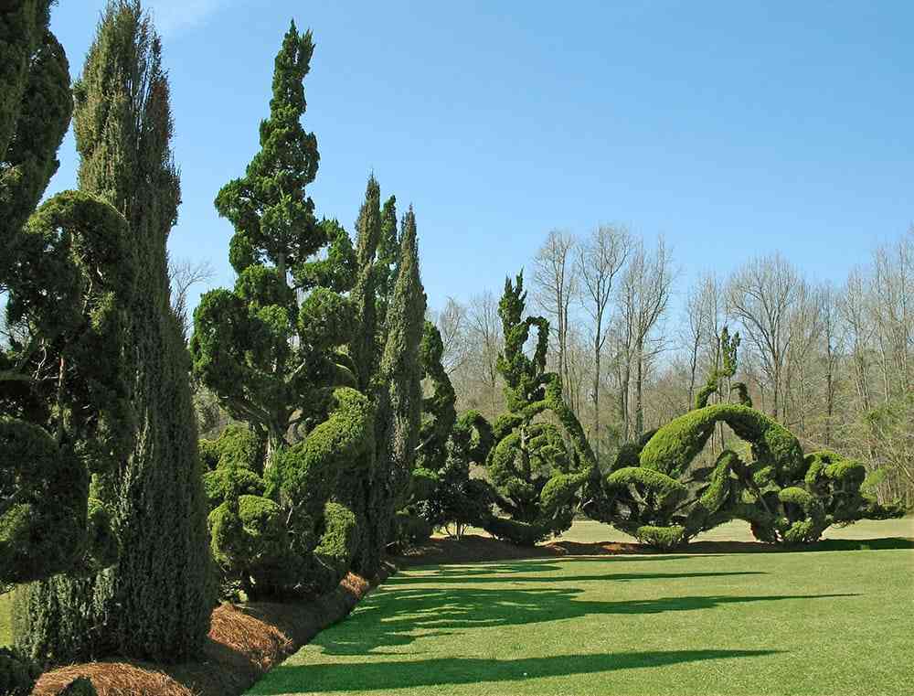 Pearl Fryar Topiary Garden