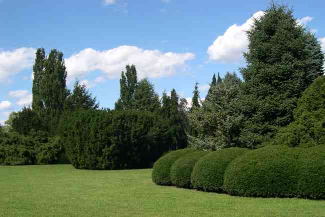 Yew Dell Botanical Gardens in Crestwood, Kentucky.