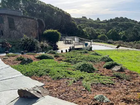 Sunday, May 25th Open Day at Sea View Gardens