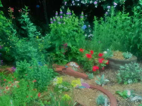 Saturday, May 24th Open Day at Poppies, Perennials, and Tough Dainties