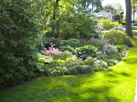 Noel Schulz's Garden