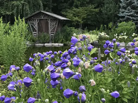 Magic Mountain Sanctuary