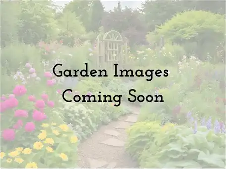 Stonewall Gardens