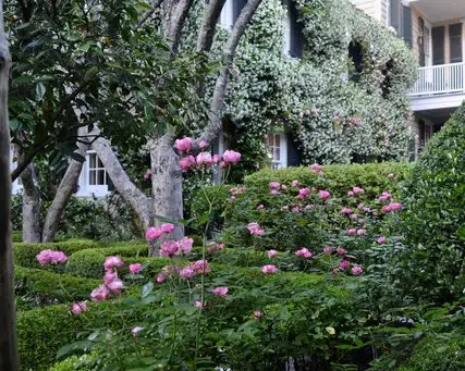 Benjamin Phillips House Garden