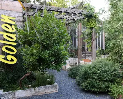 Artist’s Eclectic Eden