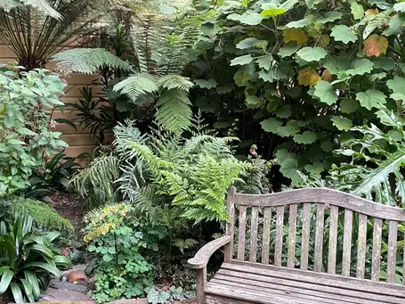 Bernal Heights Hidden Garden