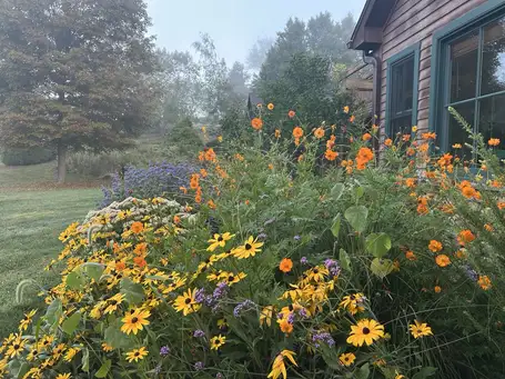 Saturday, October 18 Open Day at Gribble-Cooke Garden