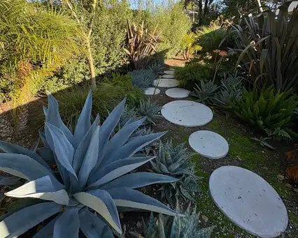 La Fleur Lochinvar Garden