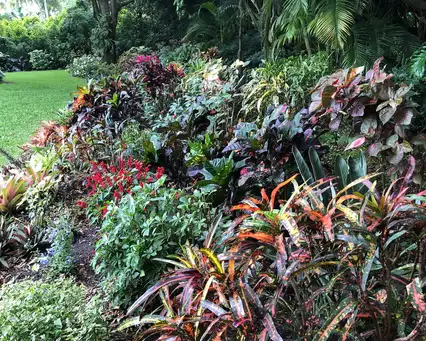 Hal + Sally Residence