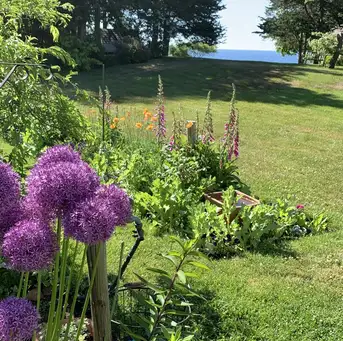 Saturday, June 27 Open Day at Braveboat Harbor Farm