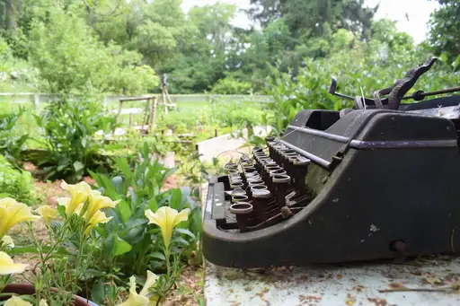 From Columns to Clicks: A Virtual Roundtable Discussion on Navigating the New Media Landscape