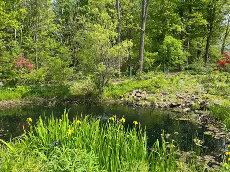 Saturday, June 27 Open Day at Valley Sanctuary, Session 1: 10am–12pm