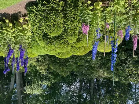 Saturday, June 20 Open Day at Isabel and Winston Fowlkes