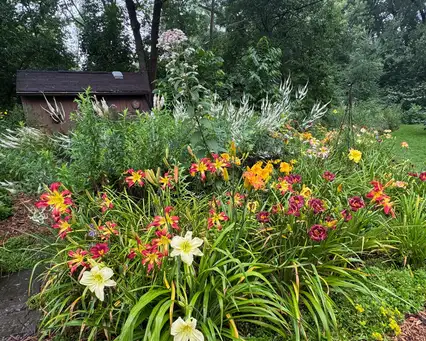 Anglewood Acre - Saturday, July 25