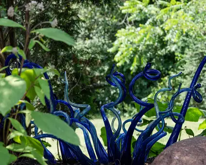 An Unexpected Oasis in Brookfield - Saturday, July 25