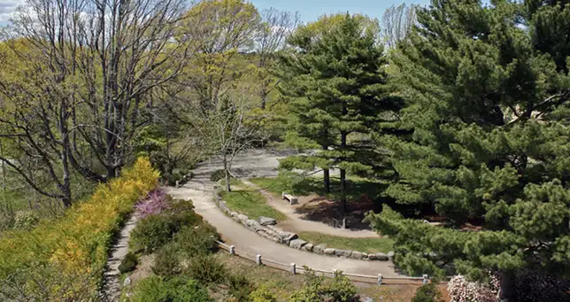 Friday, May 1 Digging Deeper at May Day Walk with Jennifer Nawada from This Old House