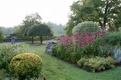 Saturday, June 13 Open Day at Jane Garmey's West Cornwall Garden
