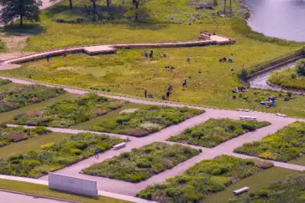 Friday, June 26 Digging Deeper: Oudolf Garden Native Meadows Exploration