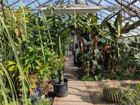 Saturday, May 2 Digging Deeper at Unique Plants of the URI Botanical Gardens
