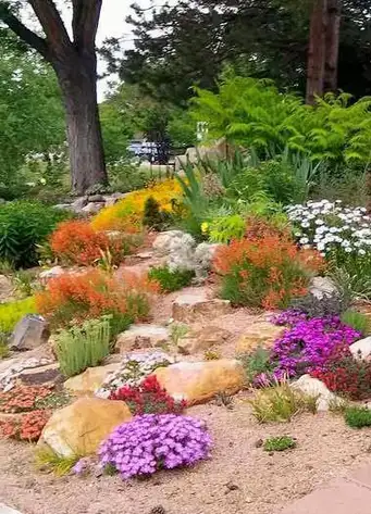 Pine Gardens