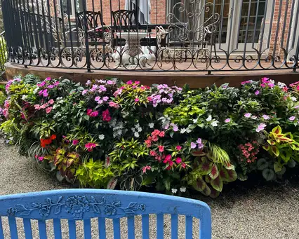 Chelsea Perennial Garden