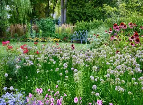 Digging Deeper:  Insight into a Landscape Transformation from Start to Finish