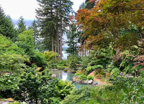Sunday, June 28 Open Day at Carhart Garden