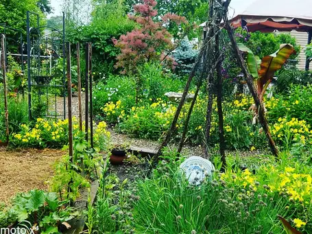 Saturday, August 8 Open Day at Becky's Wild and Wonderful Garden- Session 1
